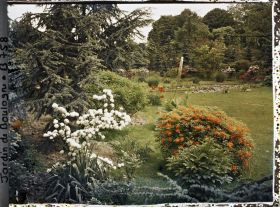 Image représentant Viorne et azalée en fleurs près du marais ourlé d'arbustes colorés, vues en direction du nord