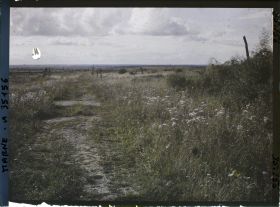 Image représentant France, Vienne le Château , Sortie Ouest du Bois de la Gruerie par ce qui était la route de Varennes à Servon