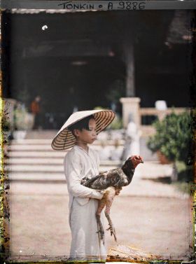Image représentant Un jeune éleveur de coqs de combat