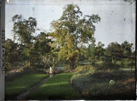 Image représentant Les semis de riz en pépinière et un système élévatoire d'eau (seau à manche)