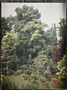 Image représentant Ensemble de feuillus dominant des plates-bandes fleuries et longeant l'est du marais