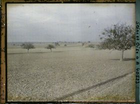 Image représentant France, Les Clayes, Champ de blé ensemencé