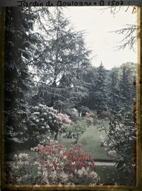 Image représentant Rhodos et azalées, à l'arrière-plan la pelouse du marais