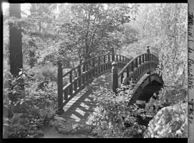 Image représentant Pont rouge du " sanctuaire japonais " blotti dans son environnement arboré