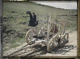 Image représentant Charette paysanne