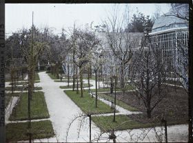 Image représentant Partie est du verger-roseraie en début de printemps, traversée par une allée menant à la forêt bleue