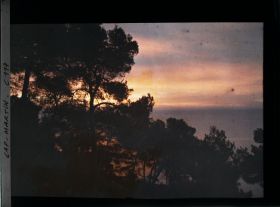 Image représentant Le lever du soleil depuis le jardin