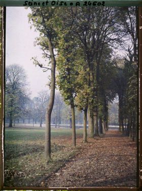 Image représentant Une allée dans le parc, vers la Grande Gerbe