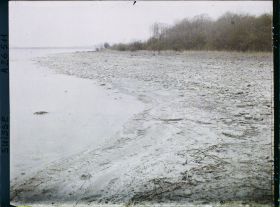 Image représentant Site palafittique préhistorique des Alpes, pieux en bois visibles lors de la baisse des eaux après la grande sécheresse de 1921
