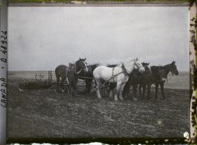 Image représentant Canada, Gravellebourg, Ferme Alfred Beauchêne- Semeuse à 6 Chevaux