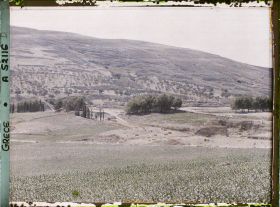 Image représentant Panorama vers l'ensemble des ruines du Palais (derrière, le premier bouquet d'arbres, le théâtre), (direction sud-est)