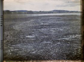 Image représentant Site palafittique préhistorique des Alpes, pieux en bois visibles lors de la baisse des eaux après la grande sécheresse de 1921