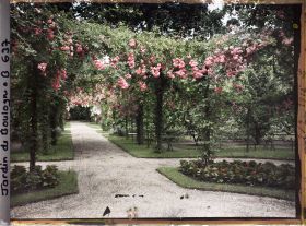 Image représentant Axe central du verger-roseraie vu vers la dépendance, depuis le rond-point proche du jardin français