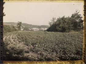 Image représentant Ile de France, Vallangoujard, Champ de pommes de terre et échappé sur le village