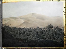 Image représentant La partie est de l'oasis, au bas de la dune