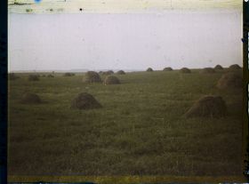 Image représentant Seine et Marne, Le Pin, Tas de fourrage au soleil couchant