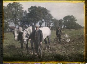Image représentant Ile de France, Maffliers, Attelage et charrue arrachant les pommes de terre