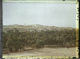 Image représentant L'oasis et le Grand Erg