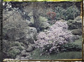 Image représentant Chaos de pierres fleuri, situé à l'ouest du " village japonais " ?