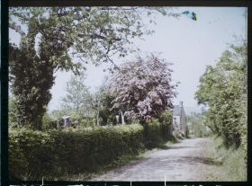 Image représentant Les aubépines