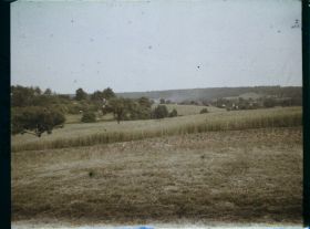 Image représentant Champs de blé en avant de Trie-Château