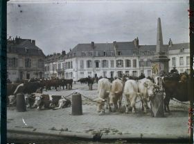Image représentant France, Arras, Place Victor Hugo un jour de marché