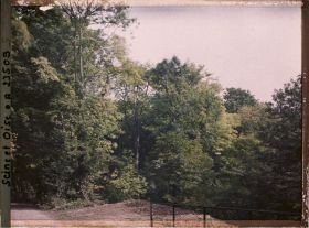 Image représentant Aspect de la végétation dans le parc