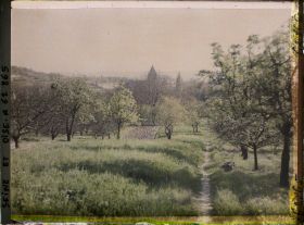 Image représentant Seine et Oise, St Nom la Bretèche, Verger aux abords de Bessancourt dont on aperçoit le clocher