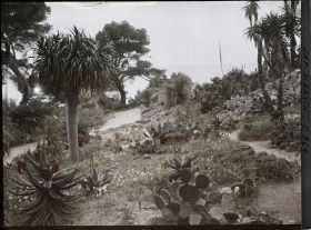 Image représentant Le Jardin