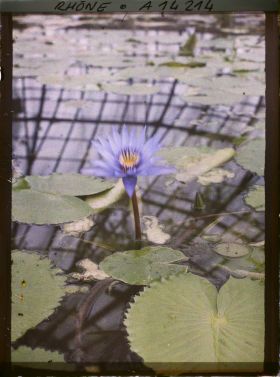 Image représentant Parc de la Tête d'Or