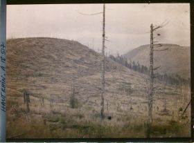 Image représentant France, Le Linge (Versant Est)