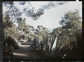 Image représentant la grande allée