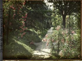 Image représentant Rosiers sur l'allée du verger-roseraie longeant le jardin japonais en direction de l'ouest