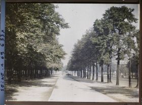 Image représentant Contre-allée des Champs-Elysées