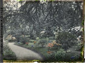 Image représentant L'allée qui longe le laboratoire et passe dans la forêt bleue, au deuxième plan le chemin qui mène à la grande pelouse