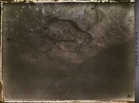 Image représentant Grotte de Niaux : le bison avec le signe rouge