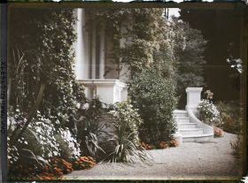 Image représentant Villa Miramar plantes près du perron