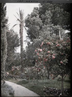 Image représentant Cap-Martin - Rosiers - Le Jardin