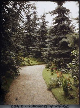 Image représentant Allée de la forêt bleue bordée de plates-bandes fleuries