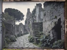 Image représentant Sentier dans le mont Palatin