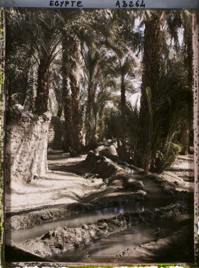 Image représentant Canalisation d'une  null sakiéh dans un village sur l'île d'Eléphantine