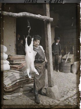Image représentant Serbe dépeçant un mouton dans la cour intérieure d'une auberge