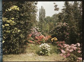 Image représentant Azalées, rhodos et bambous