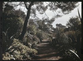 Image représentant le jardin la gde allée