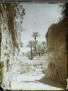 Image représentant Entrée de la palmeraie par la route de Beni-Ounif