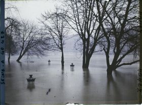 Image représentant La crue de la Seine à la pointe de l'île de la Cité, square du Vert-Galant