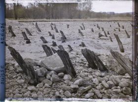 Image représentant Site palafittique préhistorique des Alpes, pieux en bois visibles lors de la baisse des eaux après la grande sécheresse de 1921