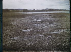 Image représentant Site palafittique préhistorique des Alpes, pieux en bois visibles lors de la baisse des eaux après la grande sécheresse de 1921
