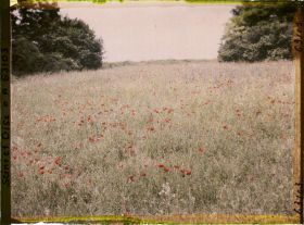 Image représentant Ile de France, Luzarches, Mauvaise Culture