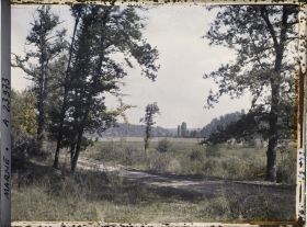 Image représentant France, La Harazée, Vue prise du ravin du Gros Hêtre vers l'est au fond, le bois de Bolante